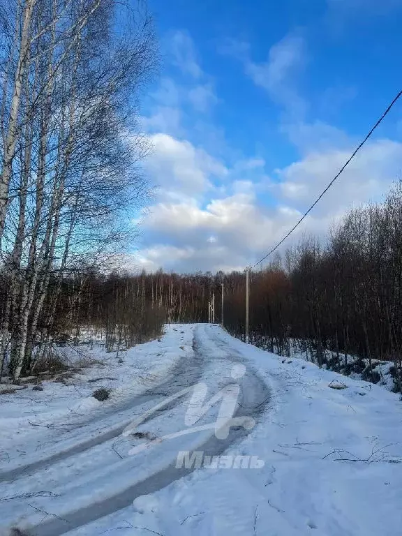 Продается участок в ДНТ Остров - Фото 2