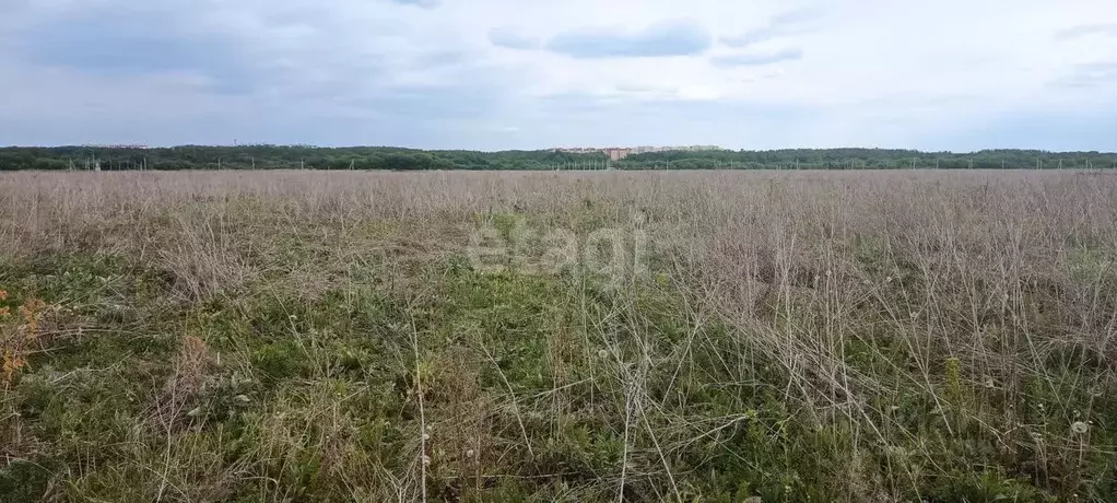 Участок в Воронежская область, Семилукский район, с. Девица, Поречье-2 ... - Фото 0