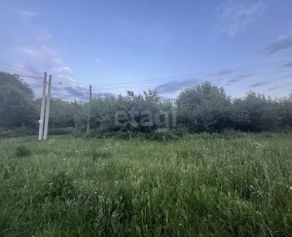 Участок в Воронежская область, Рамонский район, Русскогвоздевское ... - Фото 1