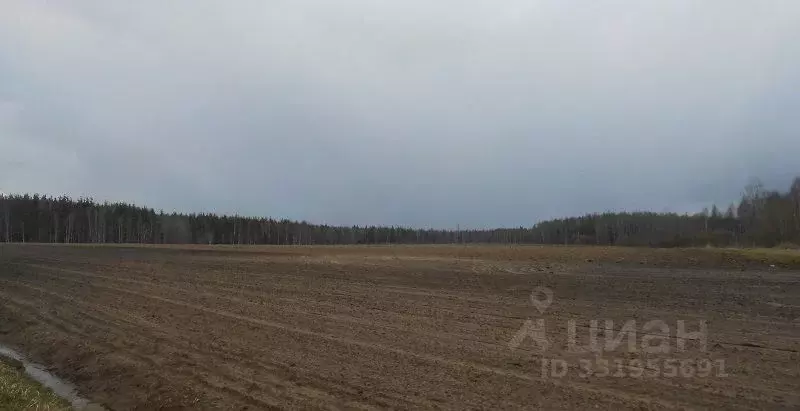Участок в Московская область, Орехово-Зуевский городской округ, д. ... - Фото 1
