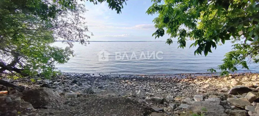 Дом в Саратовская область, Балаковский район, Натальинское ... - Фото 0