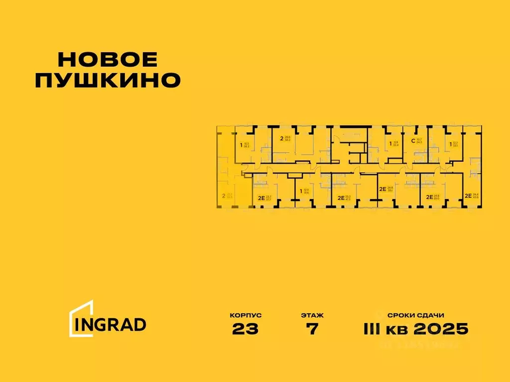 2-к кв. Московская область, Пушкино Новое Пушкино мкр, к23 (56.54 м) - Фото 1