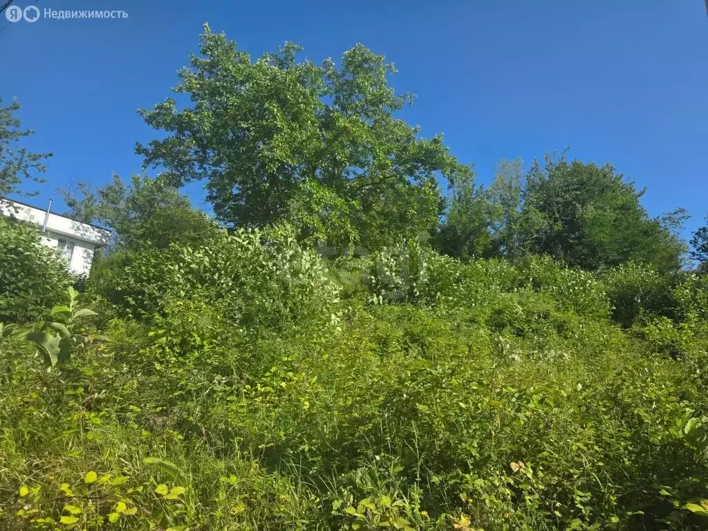 Участок в Краснодарский край, городской округ Сочи, село Васильевка, ... - Фото 1