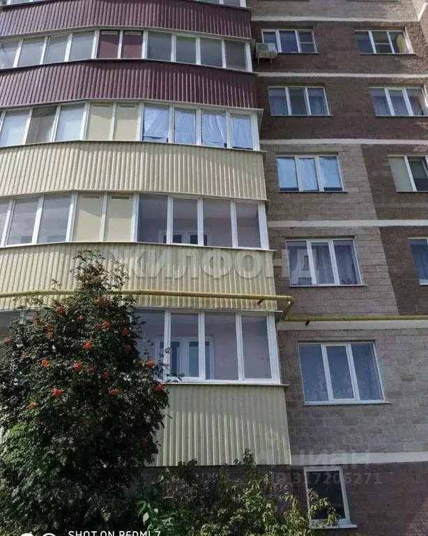 1-к кв. Белгородская область, Белгород ул. Квасова, 35 (36.0 м) - Фото 0