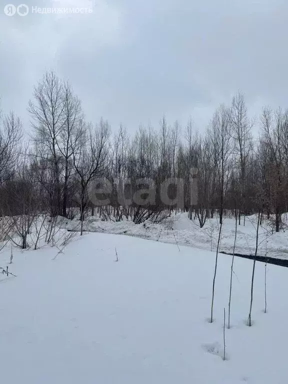 Участок в село Ая, Катунская улица (3.5 м) - Фото 1