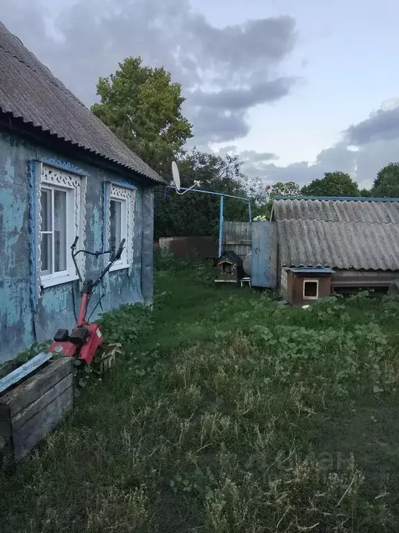Дом в Курская область, Тимский район, Быстрецкий сельсовет, с. Рогозцы ... - Фото 1