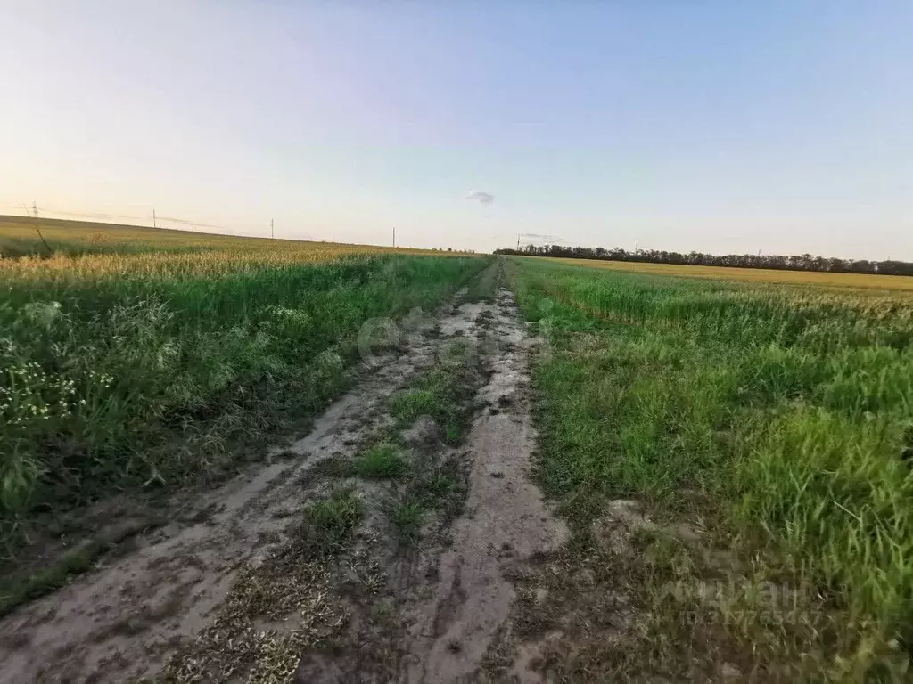 Участок в Краснодарский край, Темрюк Радуга СОТ,  (8.0 сот.) - Фото 0