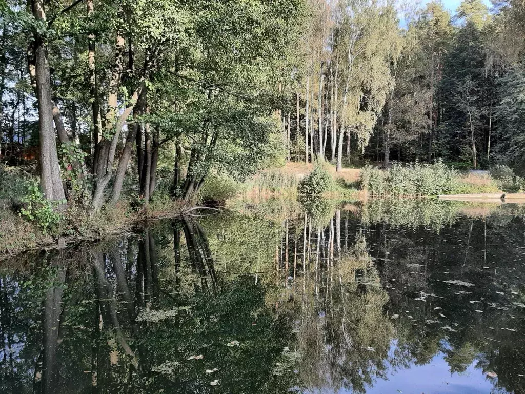 Участок, 7.7 сот., сельхоз (снт или днп) - Фото 2