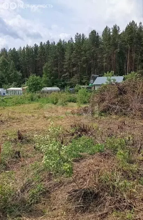 Участок в Владимирская область, Ковровский муниципальный округ, СНТ ... - Фото 1