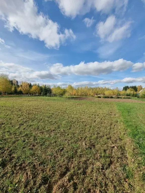 Участок в Владимирская область, Александровский муниципальный округ, ... - Фото 1