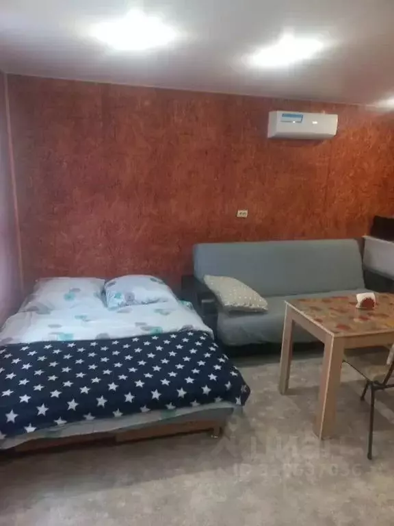 Студия Приморский край, Артем Амурская ул., 24 (25.0 м) - Фото 0