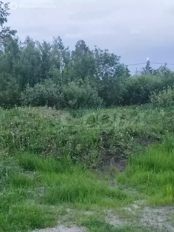 Участок в Червишевское муниципальное образование (8 м) - Фото 1