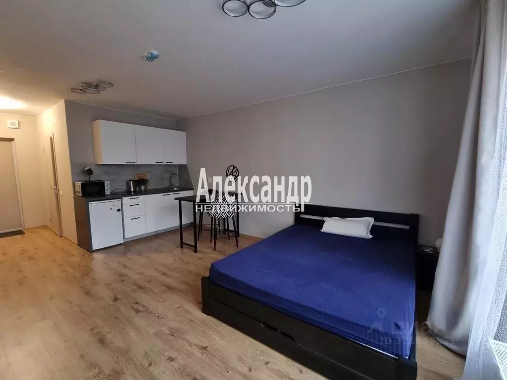 Студия Ленинградская область, Мурино Всеволожский район, просп. ... - Фото 1