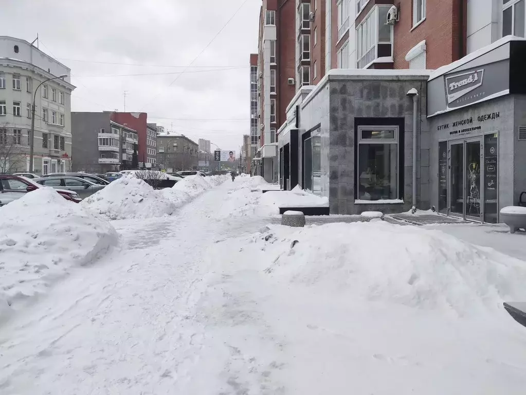 Помещение свободного назначения в Новосибирская область, Новосибирск ... - Фото 1