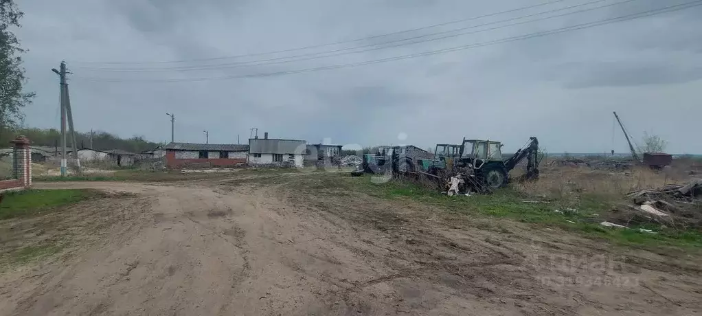 Участок в Воронежская область, Борисоглебск Фермерская ул. (123.9 ... - Фото 0