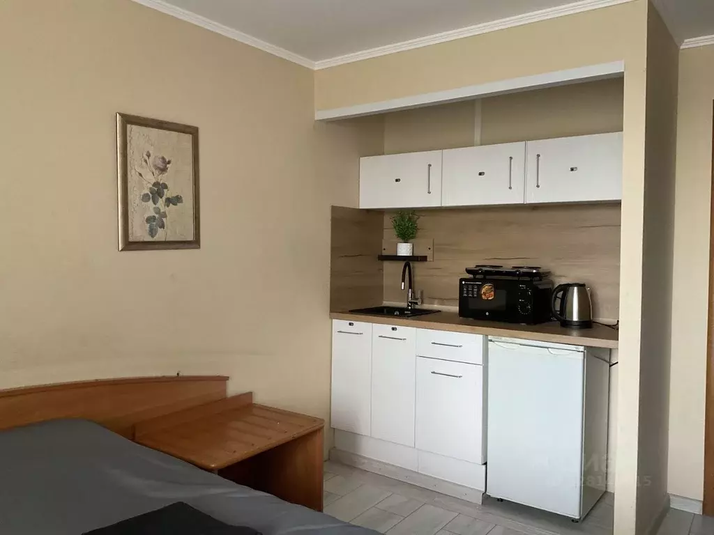 Студия Москва Алтуфьевское ш., 2 (18.9 м) - Фото 1