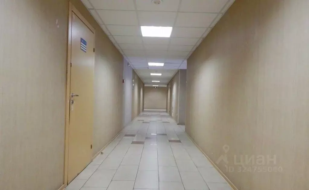 Офис в Санкт-Петербург ул. Ворошилова, 2Г6 (1030 м) - Фото 1