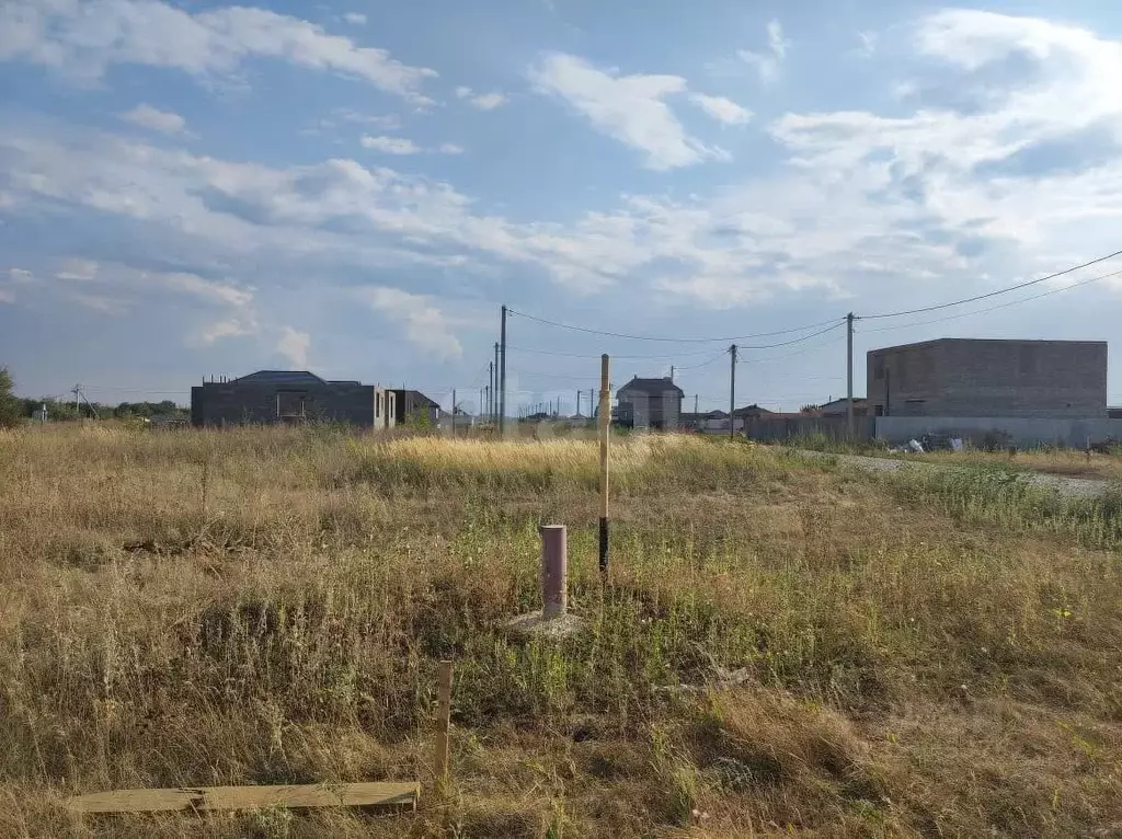 Участок в Саратовская область, Энгельсский район, Новопушкинское ... - Фото 2