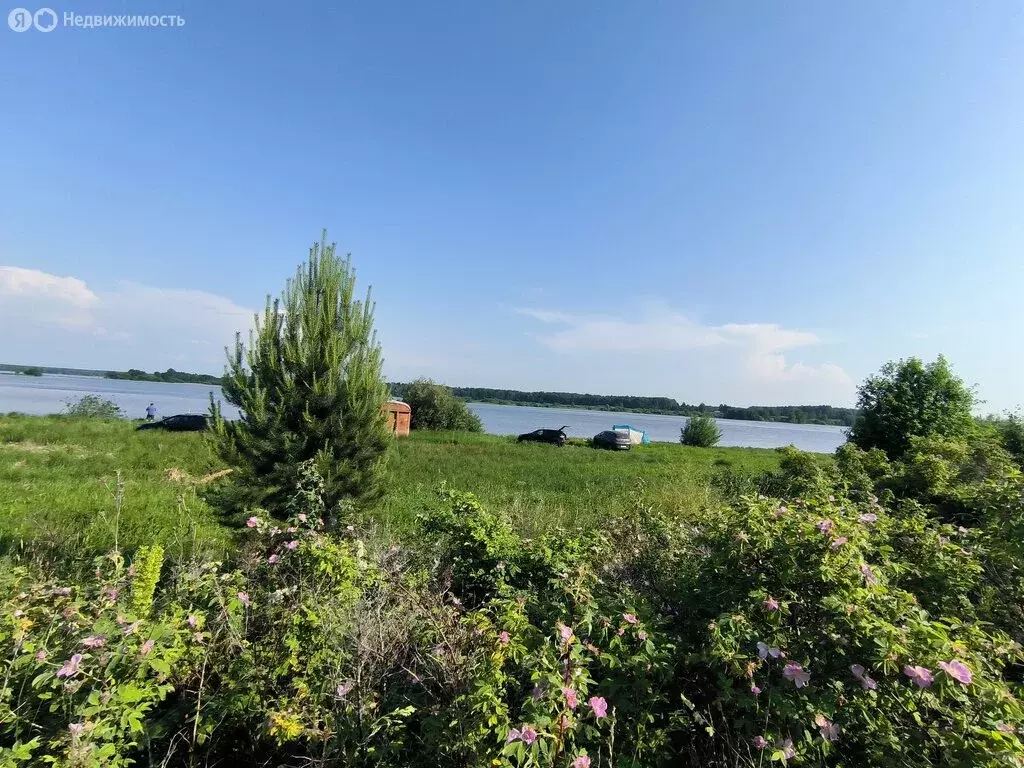 Участок в Пермский край, Краснокамский муниципальный округ, квартал ... - Фото 2