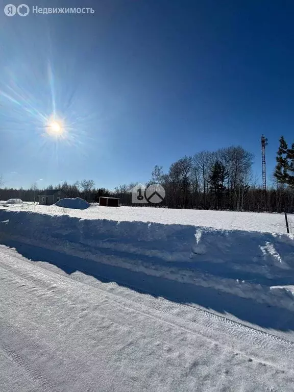 Участок в Быстровский сельсовет, коттеджный посёлок Экопарк, 234 (10 ... - Фото 1