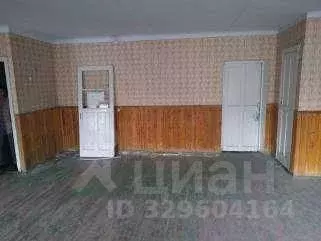 Помещение свободного назначения в Челябинская область, Коркино ул. ... - Фото 2