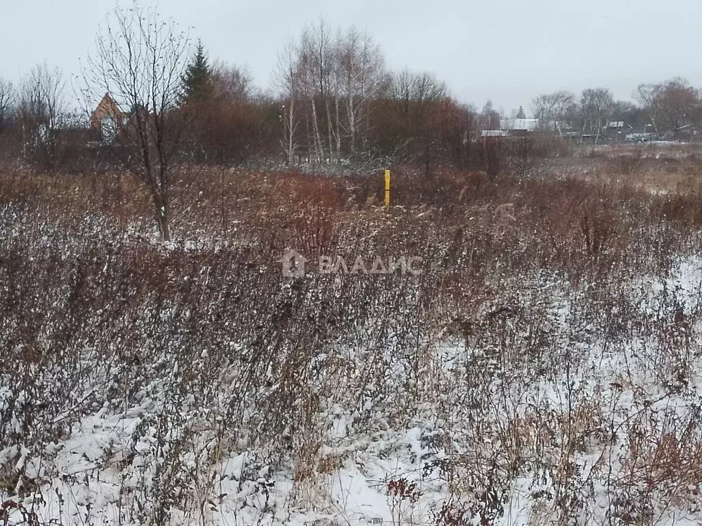 Участок в Владимирская область, Владимир Лунево мкр, ул. Луневская ... - Фото 0