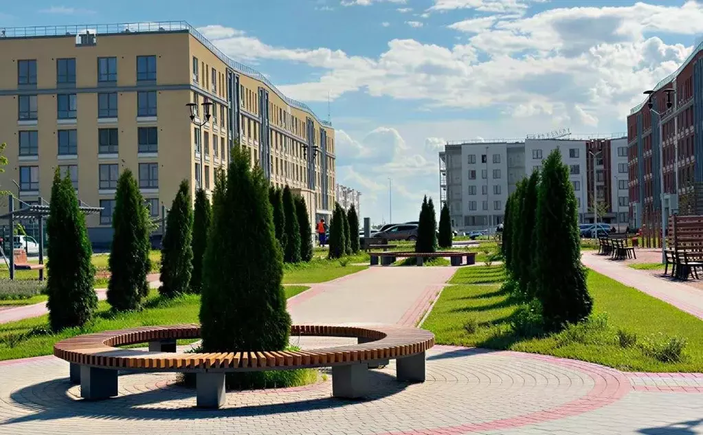 Студия Санкт-Петербург пос. Шушары, ул. Нины Петровой, 5к1 (24.17 м) - Фото 2