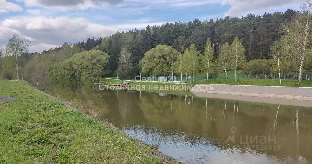 Участок в Московская область, Домодедово городской округ, д. ... - Фото 1