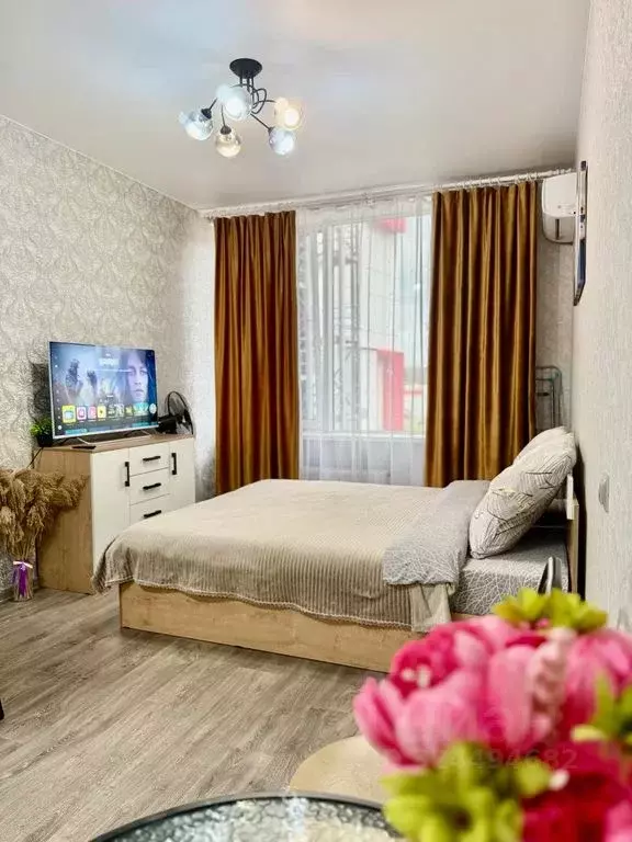 Студия Крым, Симферополь ул. Беспалова, 110Е (24.0 м) - Фото 2