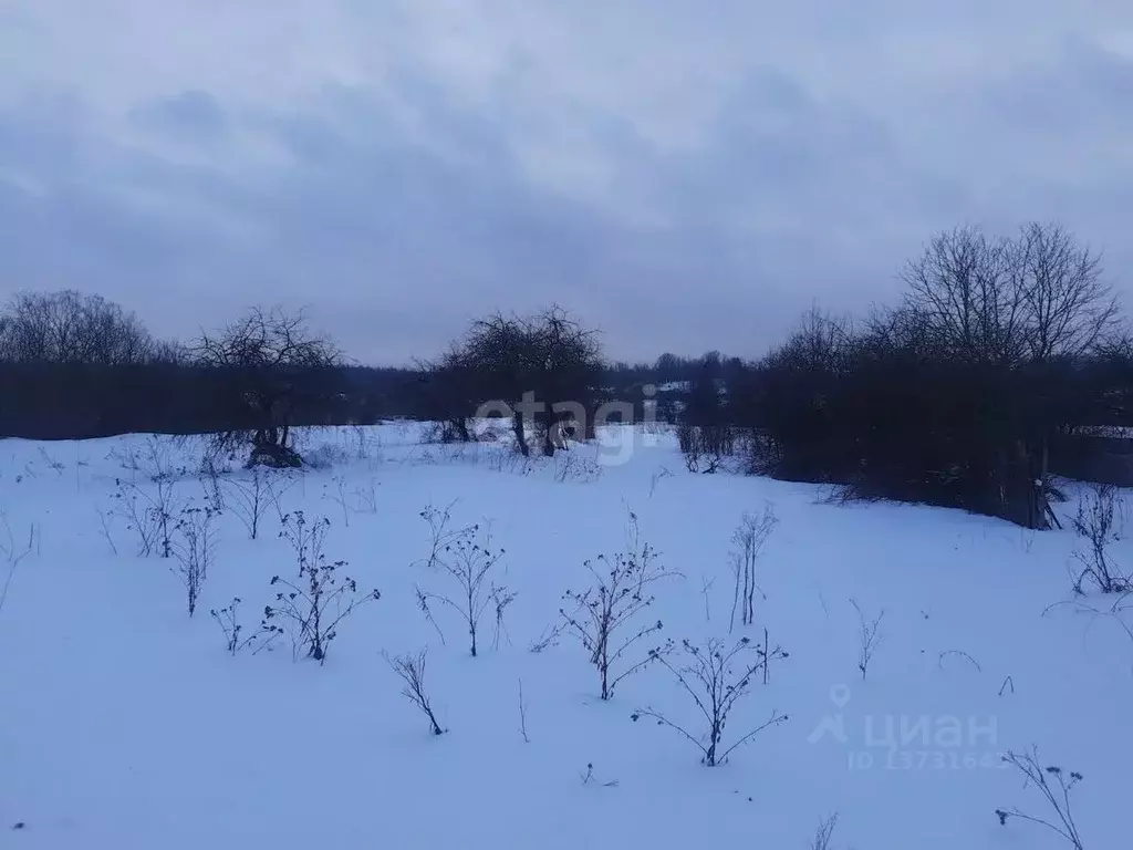 Участок в Псковская область, Островский район, Островская волость, д. ... - Фото 1