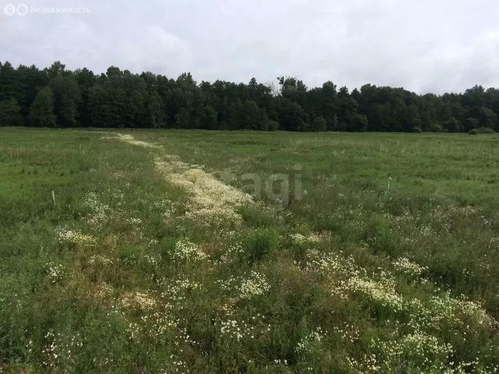 Участок в Калининградская область, Гурьевский муниципальный округ, ДНП ... - Фото 1