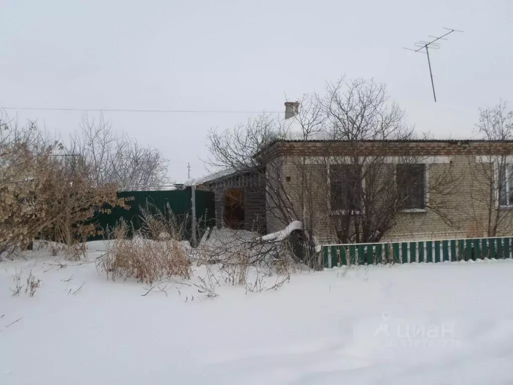 Офис в Новосибирская область, с. Венгерово ул. Лермонтова, 22 (41 м) - Фото 1