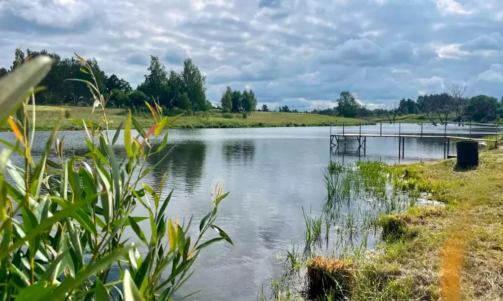 Участок в Тульская область, Заокский район, Демидовское с/пос, ... - Фото 2