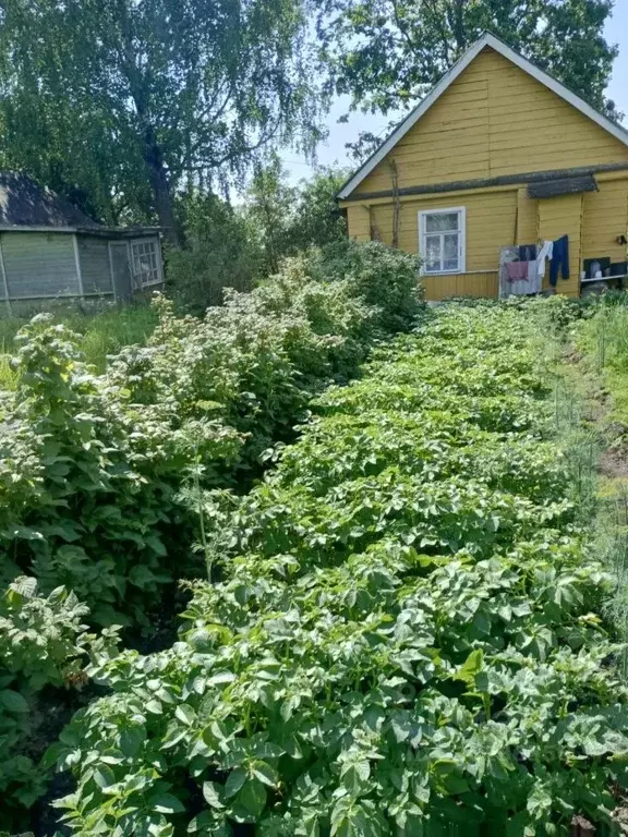Дом в Новгородская область, Старорусский район, Новосельское с/пос, ... - Фото 2