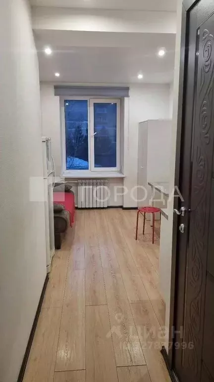 Студия Новосибирская область, Новосибирск просп. Димитрова, 17 (20.0 ... - Фото 2