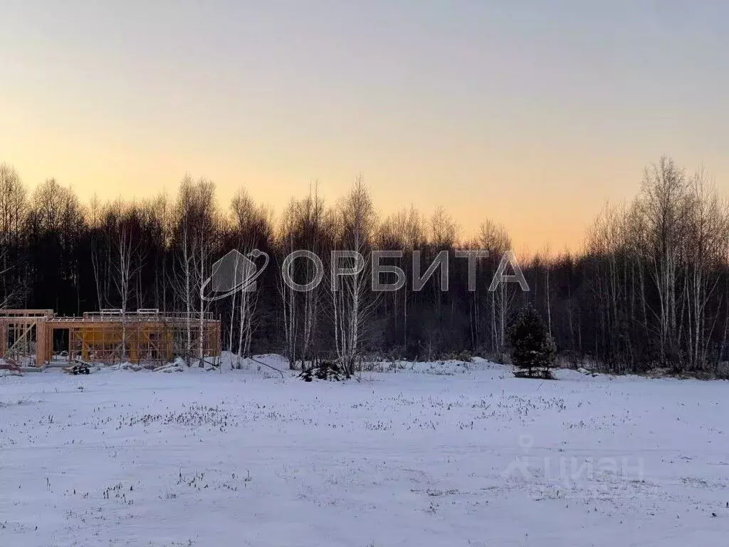 Участок в Тюменская область, Тюменский район, д. Пышминка  (12.2 сот.) - Фото 0