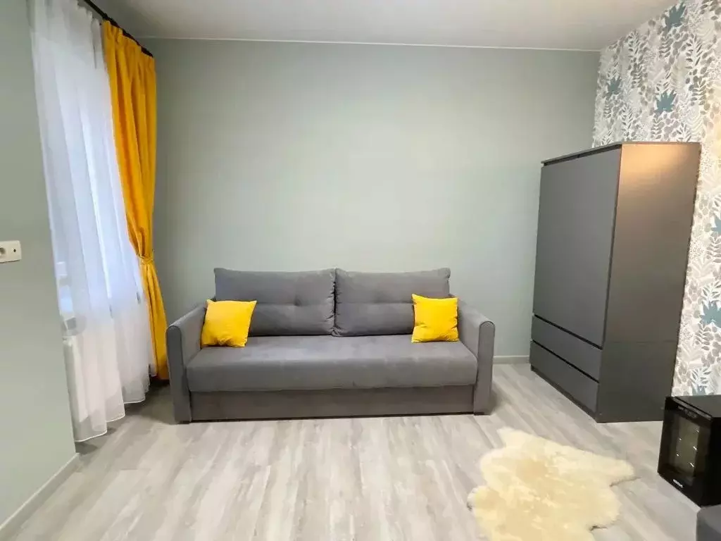 1-к кв. Санкт-Петербург Боровая ул., 34/24 (30.0 м) - Фото 1