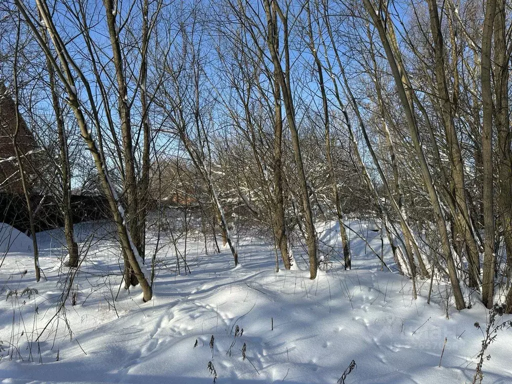 Участок в Московская область, Серебряные Пруды пгт  (15.0 сот.) - Фото 1