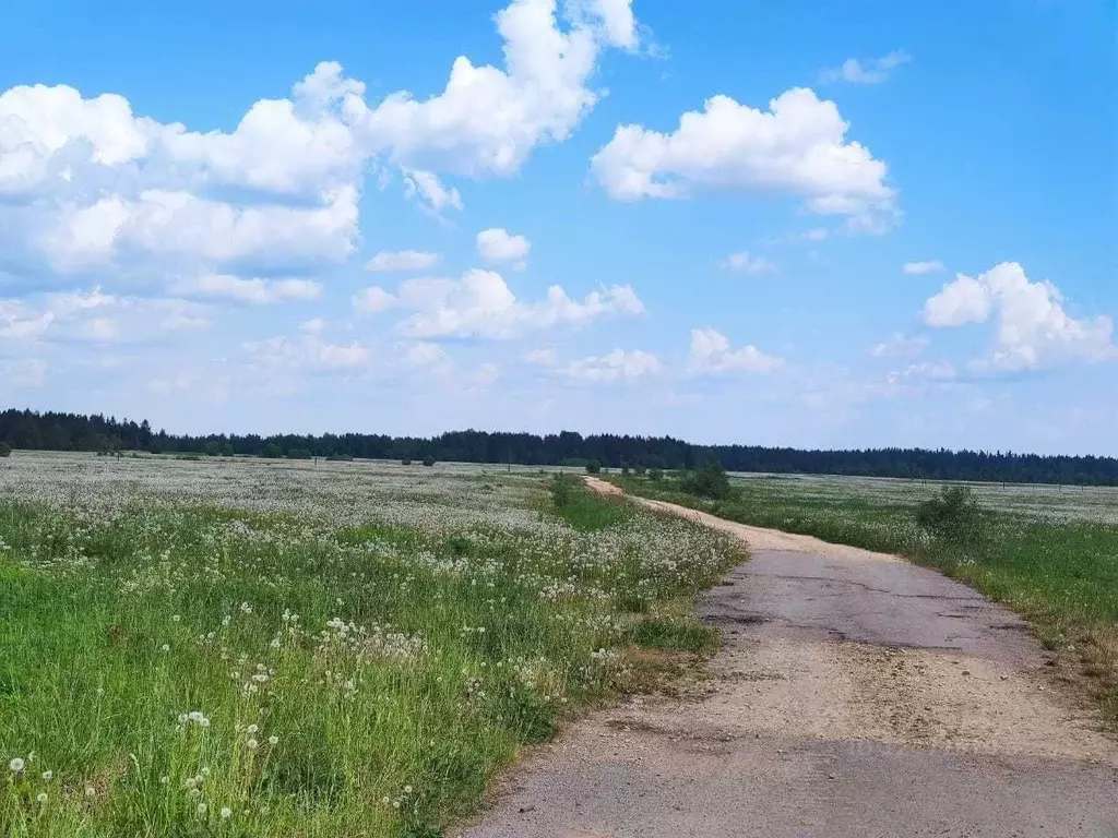 Участок в Ленинградская область, Гатчинский район, Дружногорское ... - Фото 0