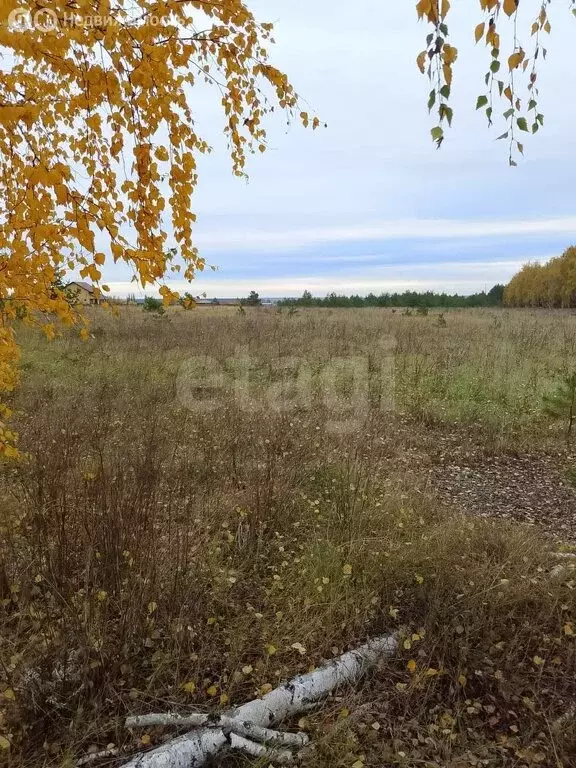 Участок в Синдякино, Молодёжная улица (20 м) - Фото 2