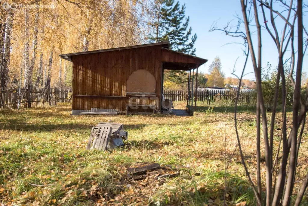 Участок в Бердск, садовое товарищество Ветеран, 1-я улица (11.7 м) - Фото 1