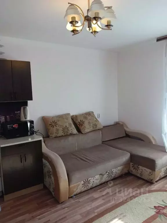 1-к кв. Алтайский край, Барнаул ул. Гущина, 175 (29.0 м) - Фото 1