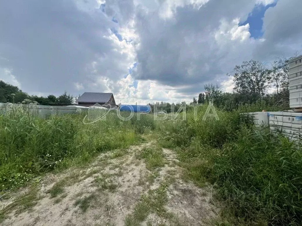 Участок в Тюменская область, Тюмень СОСН Аккумуляторщик-2 тер., ул. ... - Фото 1