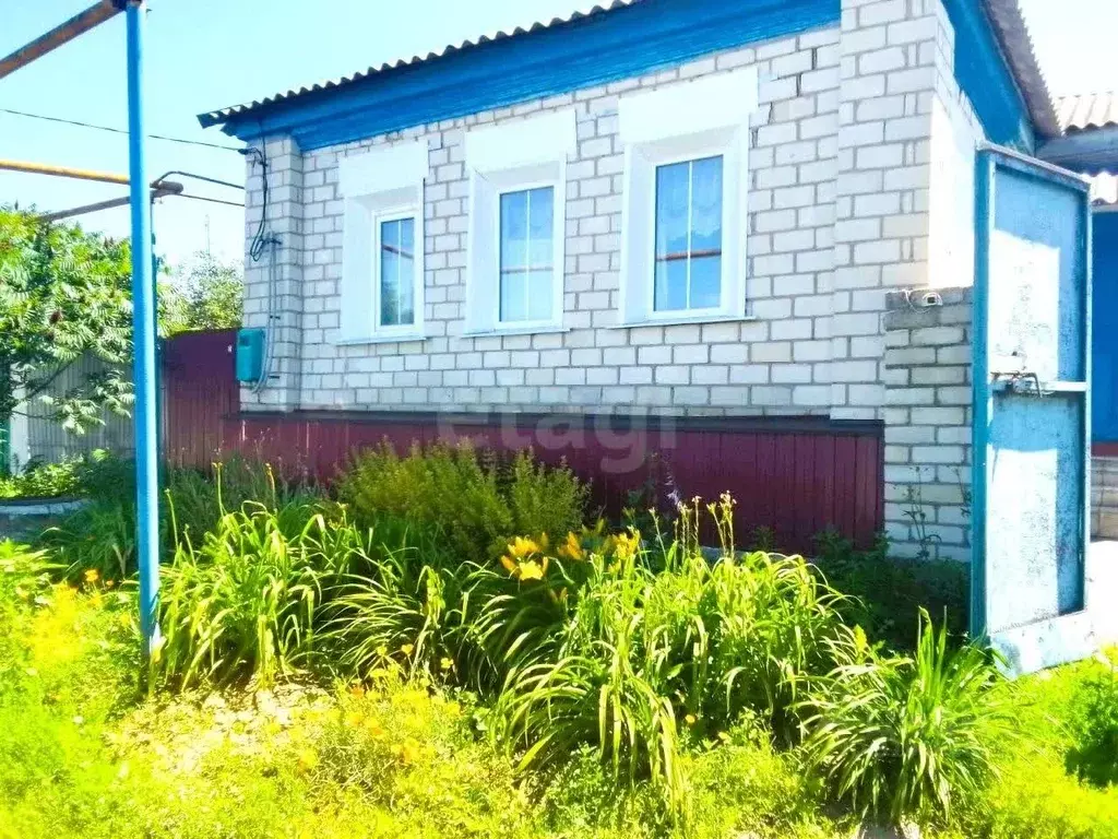 Дом в Белгородская область, Поселок Чернянка городское поселение, ... - Фото 1