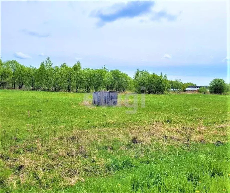 Участок в Брянская область, Брянский район, Добрунское с/пос, с. ... - Фото 1