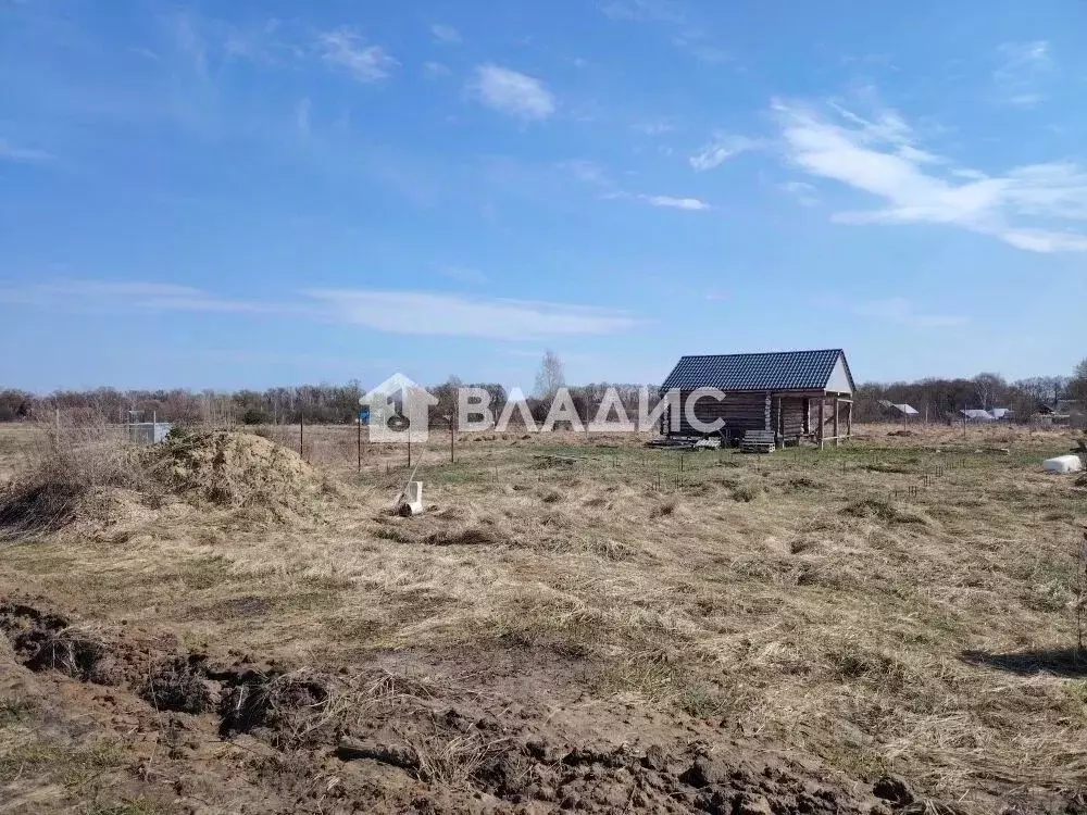Участок в Пензенская область, Бессоновский район, с. Чемодановка ул. ... - Фото 1