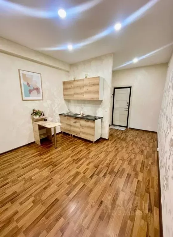 Студия Владимирская область, Муром ул. Филатова, 19 (18.8 м) - Фото 2