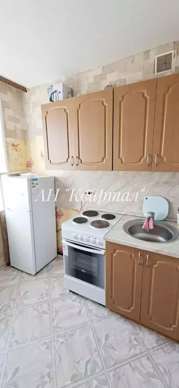 1-к кв. Тюменская область, Заводоуковск Первомайская ул., 2 (20.0 м) - Фото 1