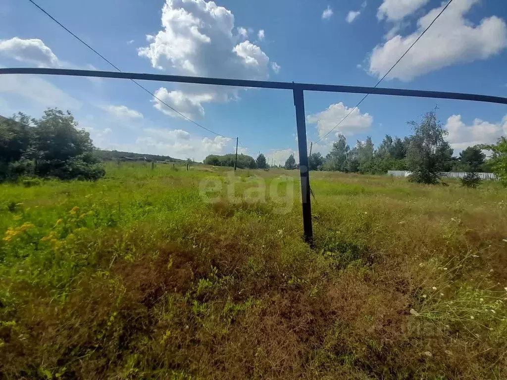 Участок в Саратовская область, Балашовский район, Пинеровское ... - Фото 1