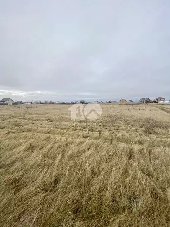 Участок в Новосибирская область, Новосибирский район, Толмачевский ... - Фото 2